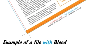 Flyer with Bleed